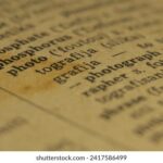 290期开奖结果揭晓前与揭晓后的全面解析 bwn4za6w3