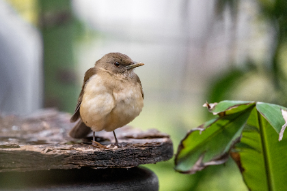 290开奖前后出号规律深度解析与预测 290开奖前后出号规律深度解析与预测